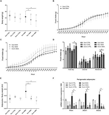 Low-Intensity Running and High-Intensity Swimming Exercises Differentially Improve Energy Metabolism in Mice With Mild Spinal Muscular Atrophy